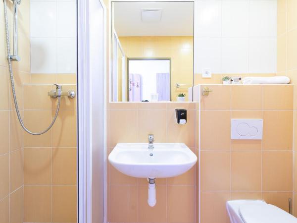 Penziony Beneš : photo 1 de la chambre studio standard