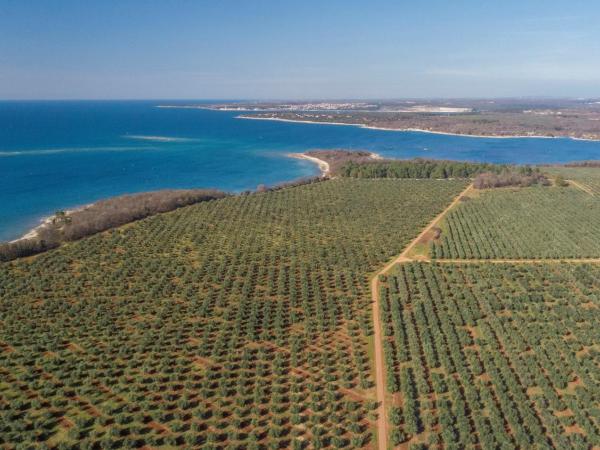 Apartments Ulika : photo 2 de la chambre appartement avec balcon