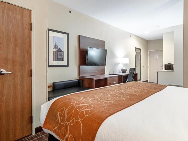 Comfort Suites NW Dallas Near Love Field : photo 1 de la chambre suite lit king-size - non-fumeurs/couloir intérieur