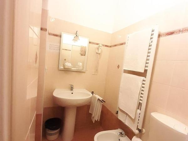 Hotel Alba Torino centro : photo 6 de la chambre chambre simple avec salle de bains privative