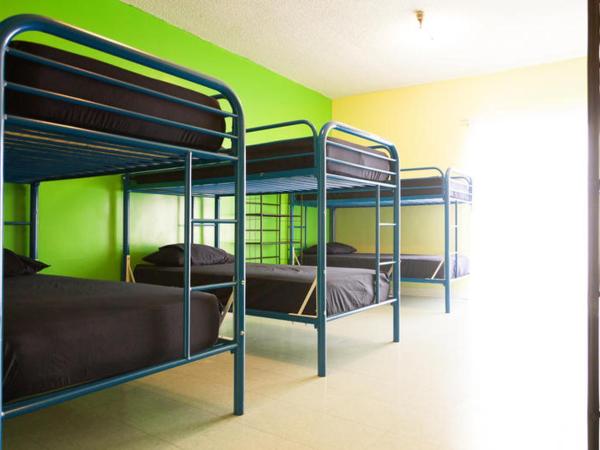 Banana Bungalow West Hollywood Hotel & Hostel : photo 1 de la chambre lit dans dortoir mixte de 6 lits