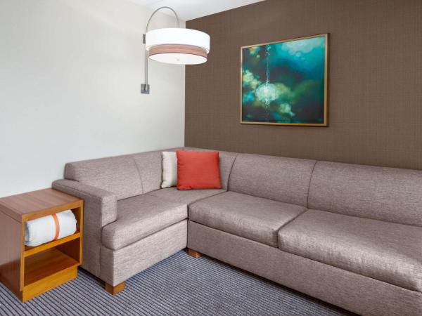 Hyatt Place Denver Downtown : photo 2 de la chambre chambre lit king-size avec baignoire accessible aux personnes à mobilité réduite