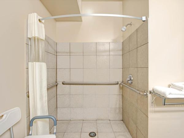 Days Inn by Wyndham Downtown St. Louis : photo 4 de la chambre chambre lit king-size - accessible aux personnes à mobilité réduite - non-fumeurs