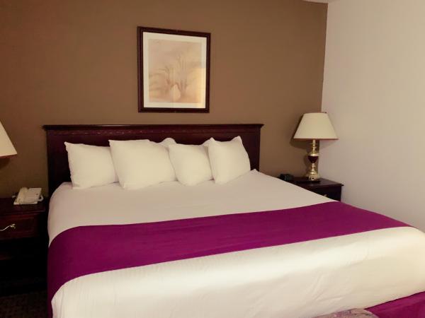 Ramada by Wyndham Red Deer Hotel & Suites : photo 5 de la chambre one-bedroom executive business king suite - non-smoking