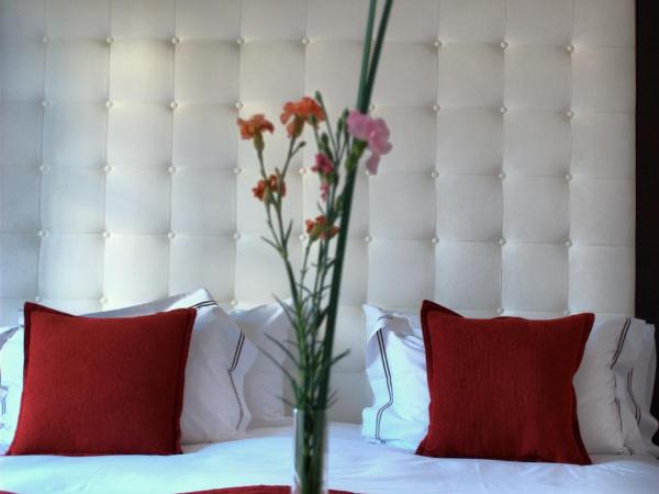 Purobaires Hotel Boutique : photo 1 de la chambre chambre baires 