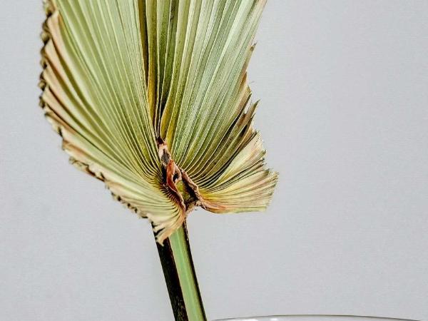 Equus Sopot Apartments : photo 1 de la chambre appartement confort plus