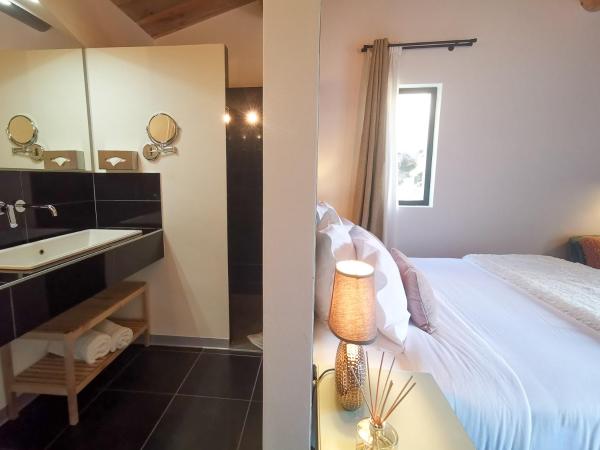 Hôtel Sous les Figuiers - Piscine, parking, centre ville : photo 4 de la chambre chambre double supérieure