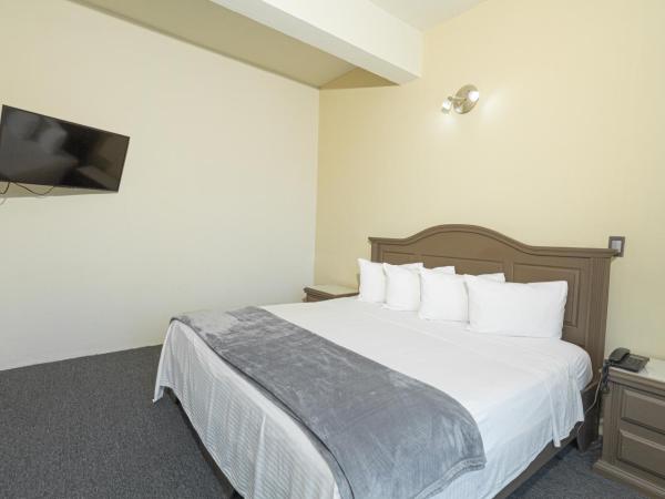 Hotel Plaza del Arco - Monterrey : photo 4 de la chambre suite junior