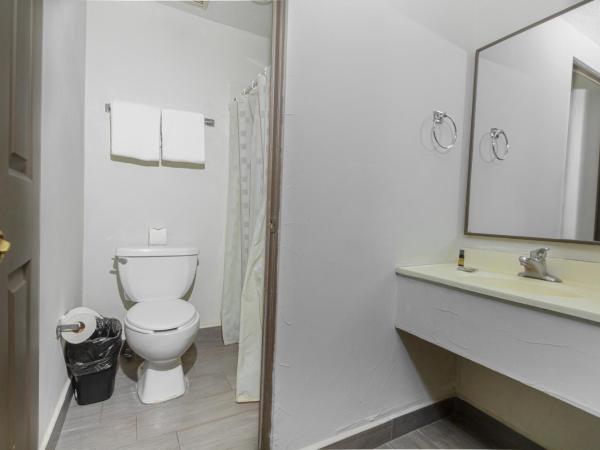 Hotel Plaza del Arco - Monterrey : photo 3 de la chambre chambre double avec 2 lits doubles