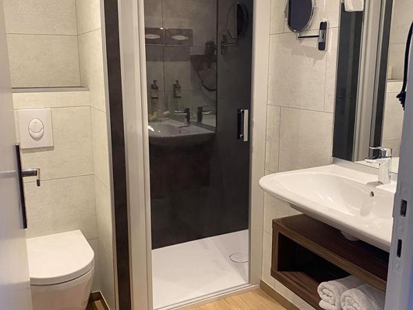 Hotel Europa : photo 8 de la chambre chambre double Élégance - vue sur jardin 