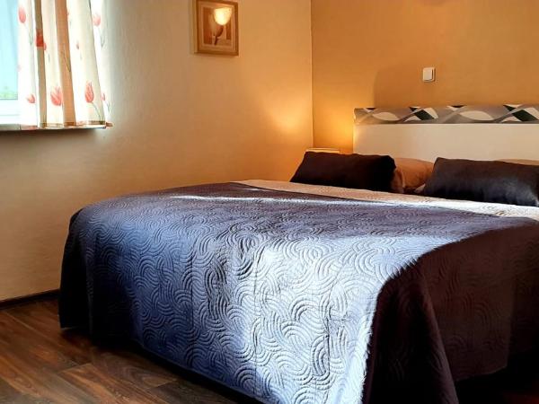 Pension Elbrs : photo 5 de la chambre chambre double standard