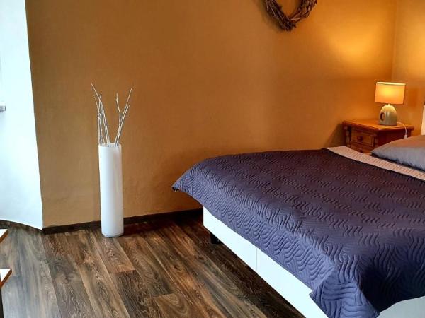 Pension Elbrs : photo 7 de la chambre studio (3 adultes)