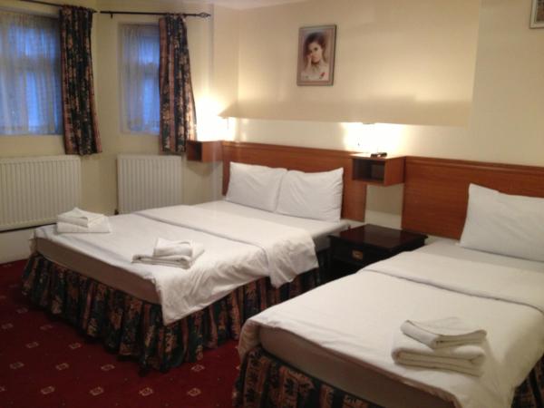 Bridge Park Hotel : photo 3 de la chambre chambre triple avec salle de bains privative (1 lit double et 1 lit simple)