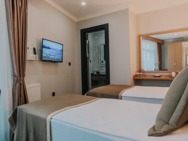 Otel Grand Lark İstanbul : photo 2 de la chambre chambre lits jumeaux deluxe