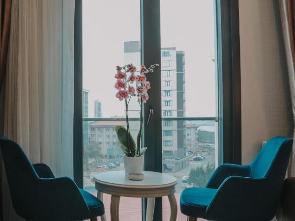 Otel Grand Lark İstanbul : photo 8 de la chambre chambre lits jumeaux deluxe