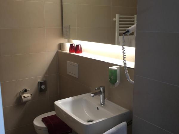Gästehaus der Katholischen Akademie in Bayern : photo 4 de la chambre chambre simple avec douche - maison kardinal wendel