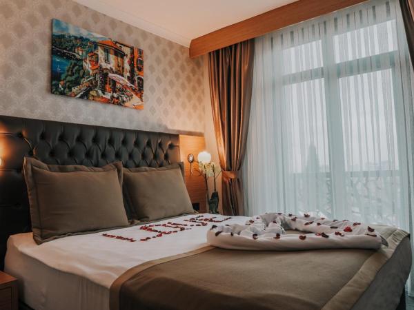 Otel Grand Lark İstanbul : photo 7 de la chambre chambre double standard