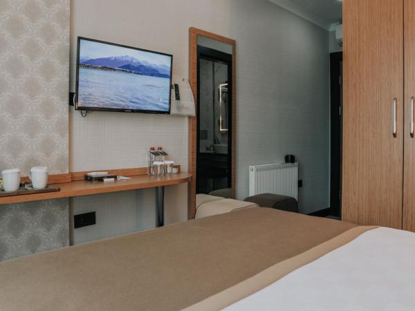 Otel Grand Lark İstanbul : photo 10 de la chambre chambre double standard