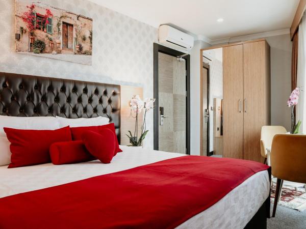 Otel Grand Lark İstanbul : photo 5 de la chambre chambre deluxe