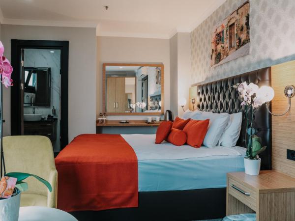 Otel Grand Lark İstanbul : photo 7 de la chambre chambre deluxe