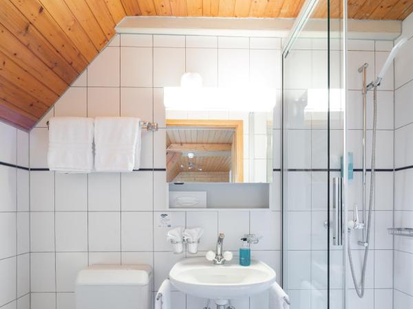 Hotel Lötschberg : photo 4 de la chambre chambre double mansardée avec climatisation