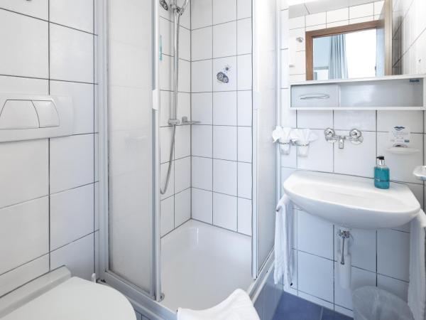 Hotel Lötschberg : photo 4 de la chambre chambre double de luxe dotée de la climatisation