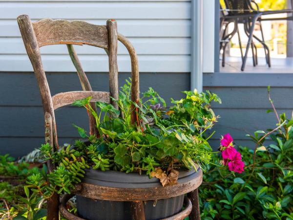 Banksia Tourist Park : photo 6 de la chambre deluxe double room - non pet friendly