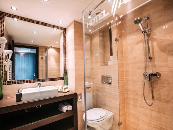 Hotel Auris : photo 10 de la chambre chambre double supérieure