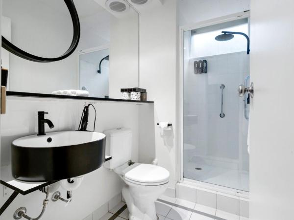 Davis Avenue Apartments : photo 5 de la chambre studio