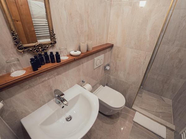 Hotel Svatojánský Dvůr : photo 7 de la chambre chambre double Économique