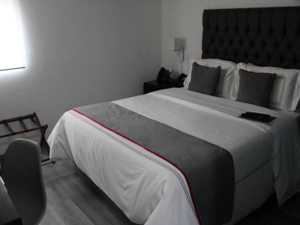 Suites Arboleda 215 : photo 6 de la chambre suite junior