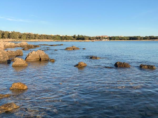 Apartmans and rooms ''Slavica'' : photo 7 de la chambre appartement - rez-de-chaussée