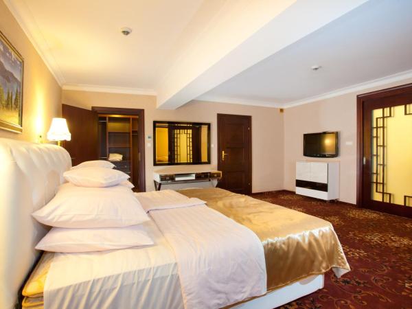 Hotel Gołębiewski Karpacz : photo 2 de la chambre appartement avec vue sur la montagne