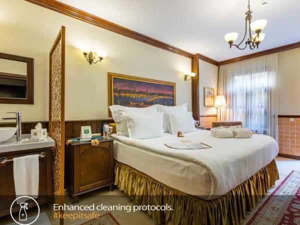 Best Point Hotel-Old City Sultanahmet : photo 1 de la chambre chambre double avec hammam privé et jardin - rez-de-chaussée - 20 m²