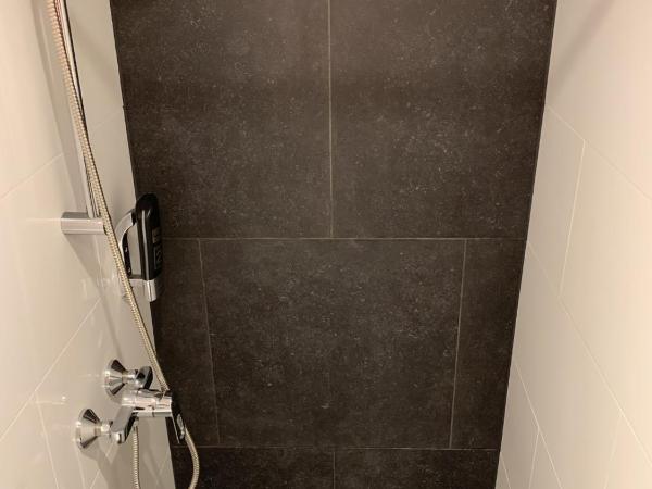 Orange Tulip Hotel : photo 3 de la chambre chambre familiale basique mansardée avec salle de bains privative