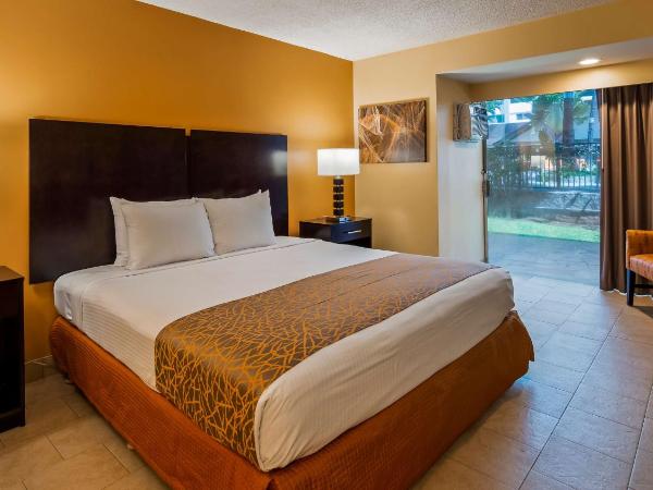 Best Western The Plaza Hotel - Free Breakfast : photo 1 de la chambre chambre lit king-size - animaux domestiques admis