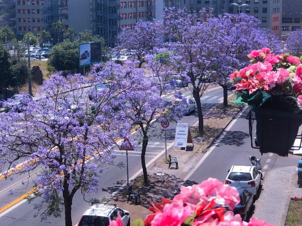 B&B Policlinico Gaspare Rodolico : photo 2 de la chambre chambre double ou lits jumeaux deluxe avec balcon