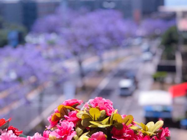 B&B Policlinico Gaspare Rodolico : photo 3 de la chambre chambre double ou lits jumeaux deluxe avec balcon