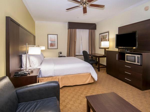 Holiday Inn Express Hotel & Suites Houston North Intercontinental, an IHG Hotel : photo 6 de la chambre chambre lit king-size standard