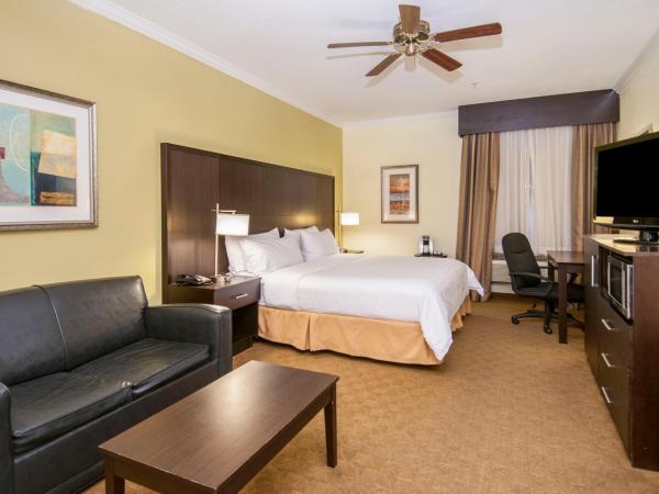 Holiday Inn Express Hotel & Suites Houston North Intercontinental, an IHG Hotel : photo 7 de la chambre chambre lit king-size standard