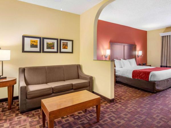 Comfort Suites - Near the Galleria : photo 4 de la chambre suite lit king-size