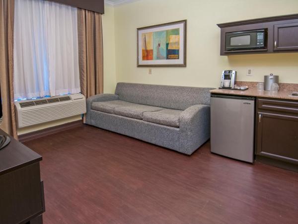 Holiday Inn Express Hotel & Suites Houston North Intercontinental, an IHG Hotel : photo 7 de la chambre suite lit king-size – non-fumeurs