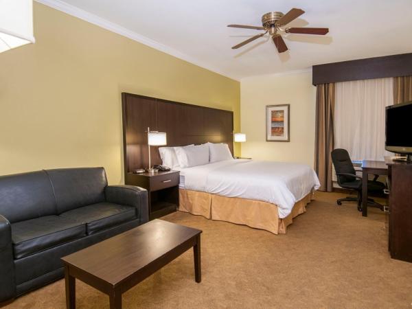 Holiday Inn Express Hotel & Suites Houston North Intercontinental, an IHG Hotel : photo 7 de la chambre chambre lit king-size - non-fumeurs