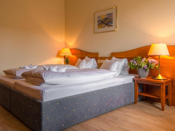 Hotel Stoiser Graz : photo 6 de la chambre chambre double ou lits jumeaux Économique