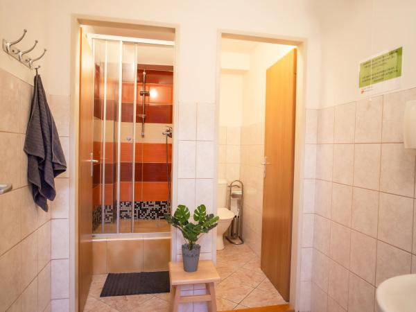 Internesto Brno : photo 10 de la chambre studio