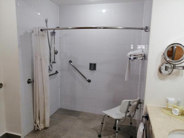 Holiday Inn Express Mexico Reforma, an IHG Hotel : photo 4 de la chambre chambre lit king-size standard - accessible aux personnes à mobilité réduite