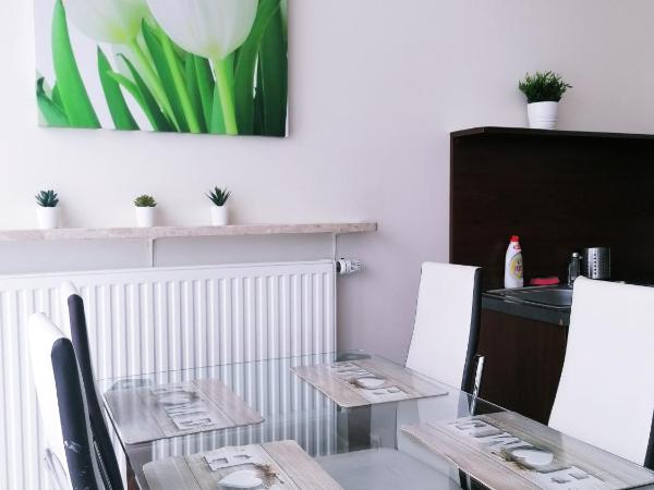 NotaBene Wola Apartment : photo 9 de la chambre appartement en duplex