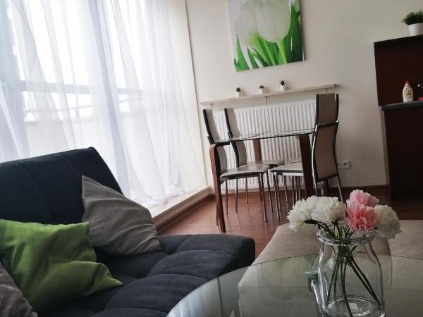 NotaBene Wola Apartment : photo 10 de la chambre appartement en duplex