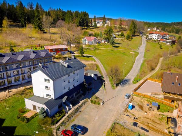 Apartament Karpatka : photo 3 de la chambre appartement 2 chambres