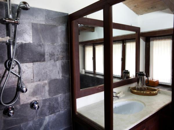 Tiger Mountain Pokhara Lodge : photo 4 de la chambre chambre double ou lits jumeaux - vue sur montagnes